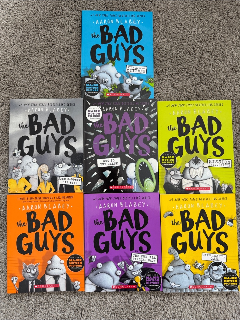 The Bad Guys Book Series Bundle
